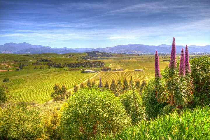 Marlborough Wine Region Scene of The Wairau Valley